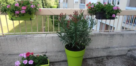 Résidence : Résidence les Pervenches