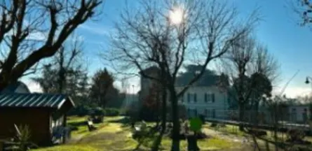 Résidence : EHPAD les Mimosas