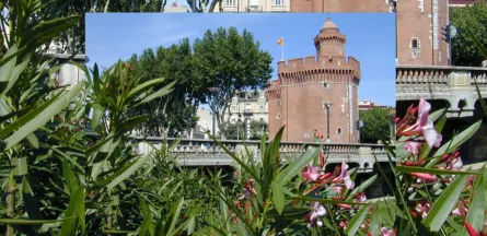 Résidence : EHPAD Villa Saint-François
