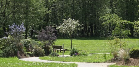 Résidence : Solemnes Savigny le Temple EHPAD