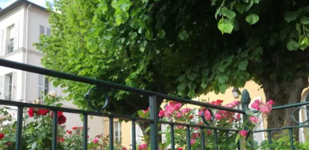 Résidence : EHPAD Notre-Dame