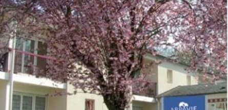 Résidence : Residence les Mesanges