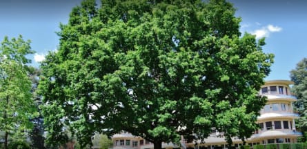 Résidence : Maison de Retraite l'Ermitage