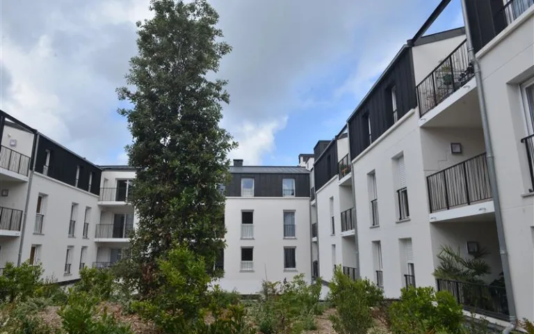 Nohée Arcachon - photo 4