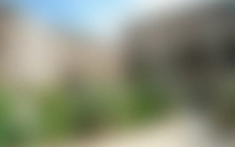 Le Domaine d'Ucétia - photo 5