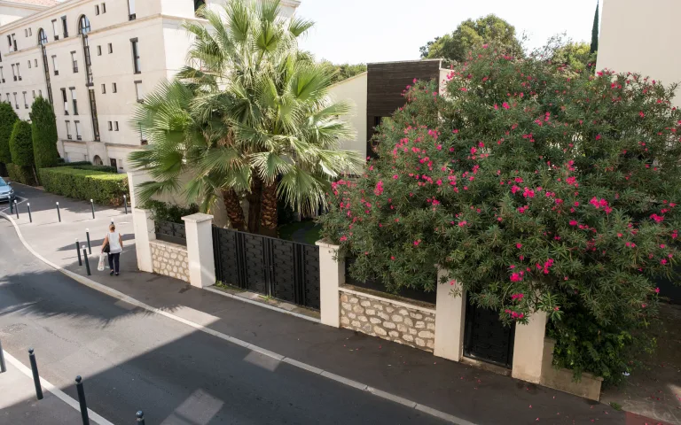 Nohée Montpellier - photo 4
