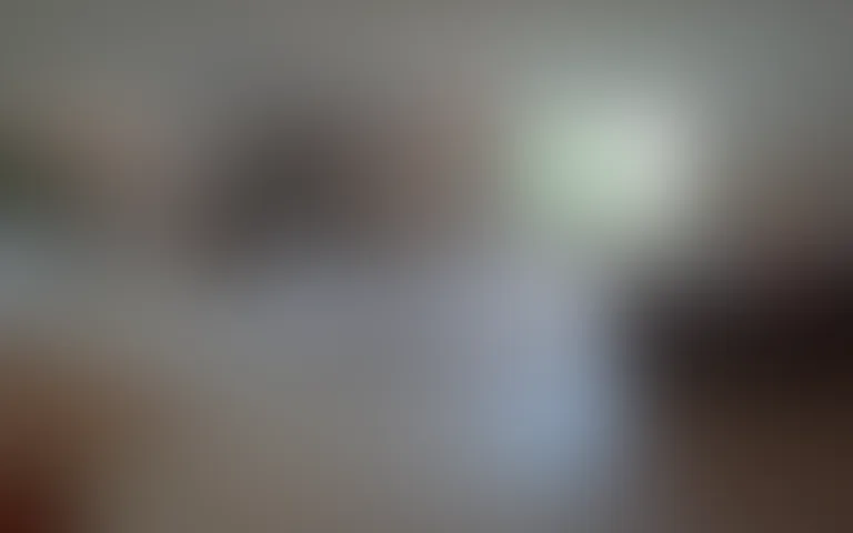 Résidence Adamoise - photo 2