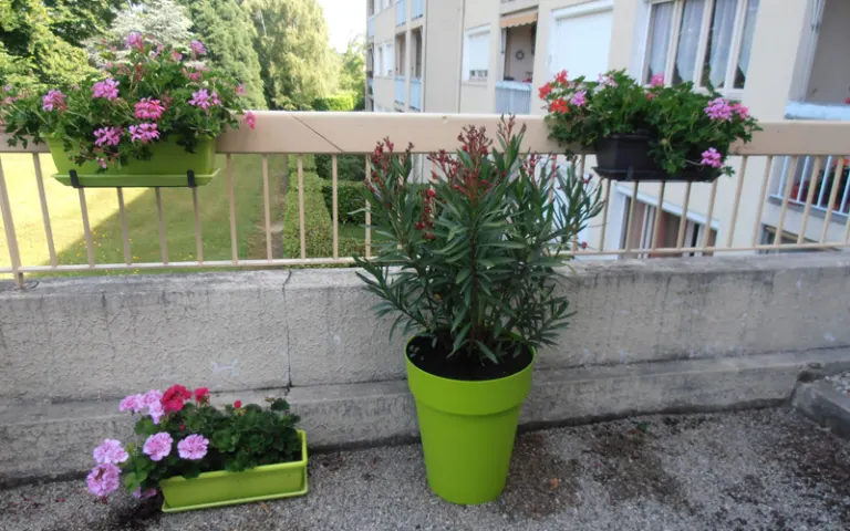EHPAD dans l'Isère (38)