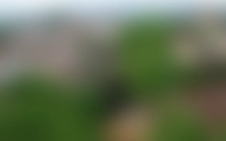 Résidence la Colline aux Oiseaux - photo 2