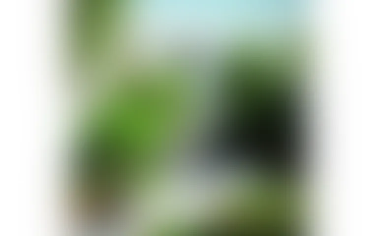 Résidence Intergénérationnelle Nantere - photo 3