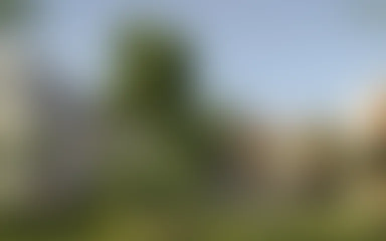 Maison Blandine - Tassin la Demi Lune - photo 2