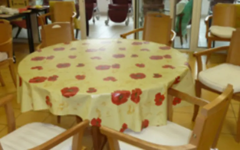 EHPAD le Petit Bosquet - photo 3