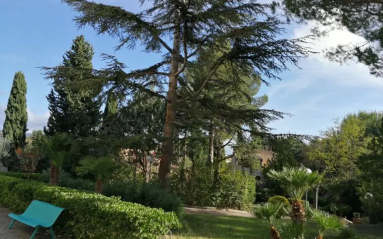 EHPAD le Rayon de Soleil - photo 6