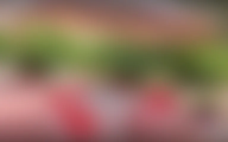 Résidence l'Oustau Mira Beü - photo 3