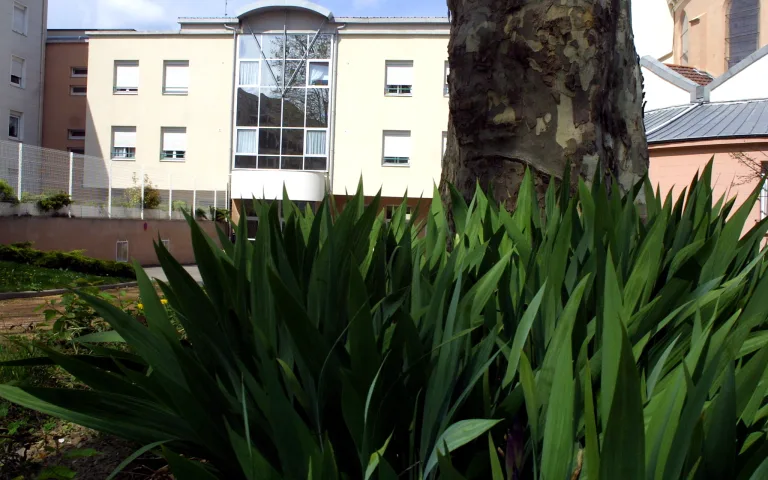 EHPAD le Buisson - photo 4