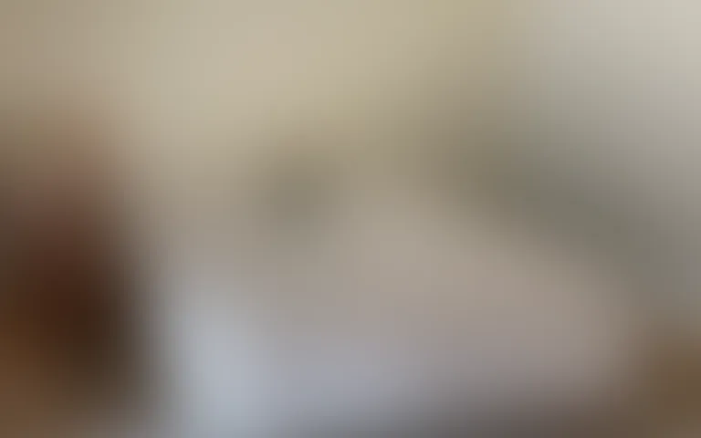 Maison Jeanne - photo 3