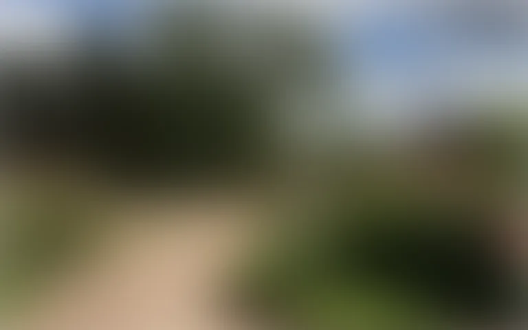 Maison Jeanne - photo 5