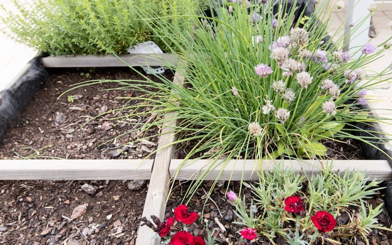 EHPAD les Jardins de Jeanne - photo 16