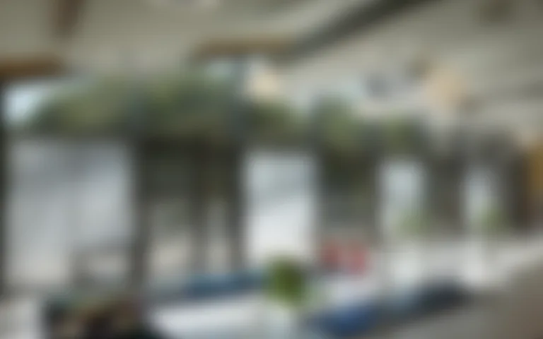 Les Magnolias - Biganos