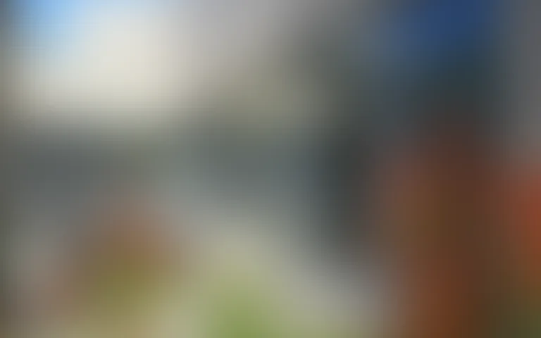 EHPAD Résidence la Savane - photo 4