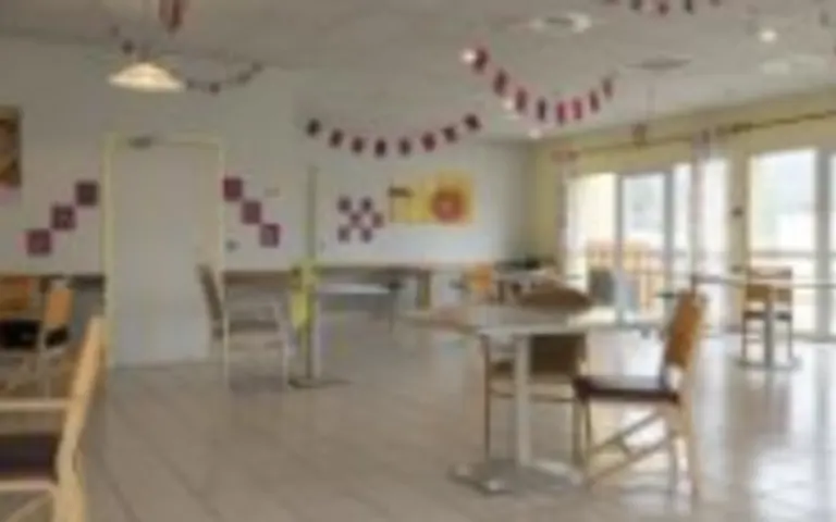 EHPAD les Mimosas - photo 3