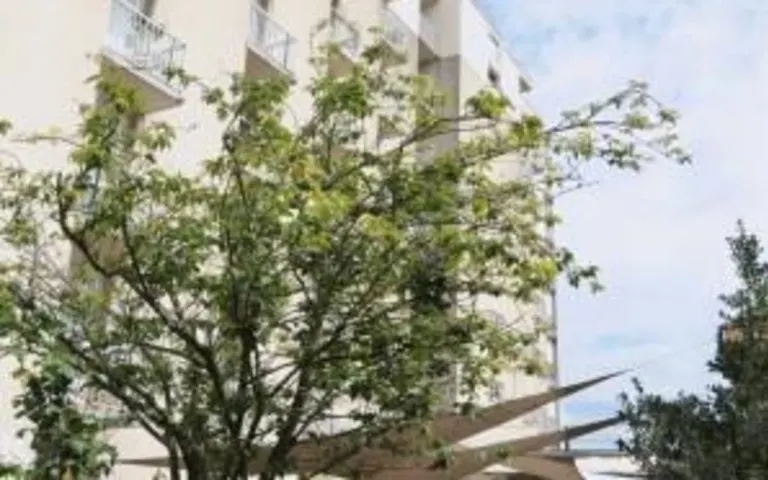 Résidence : Residence Clemenceau