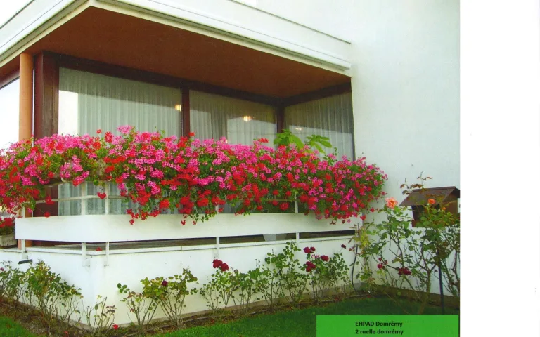 Résidence : Residence de Domremy