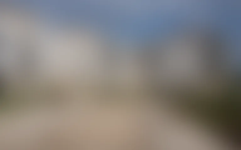 La Canopée - photo 4