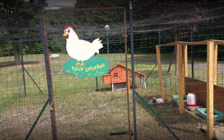 EHPAD les Tulipiers - photo 2