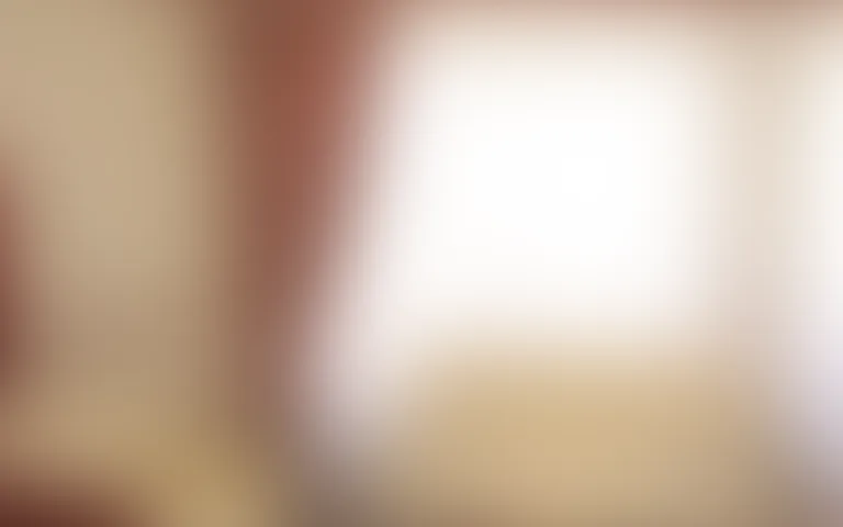 Ancilla - photo 3
