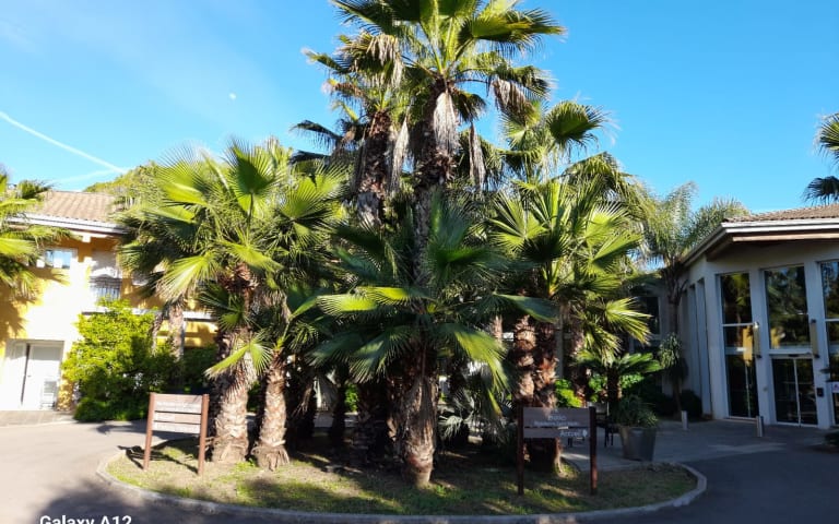 EHPAD Résidence Saint-Martin - photo 2