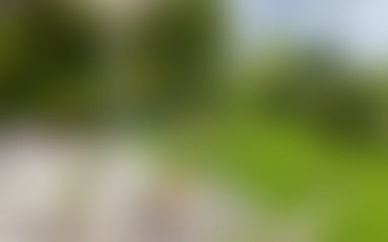 Résidence  la Bastide des Vignes - photo 3