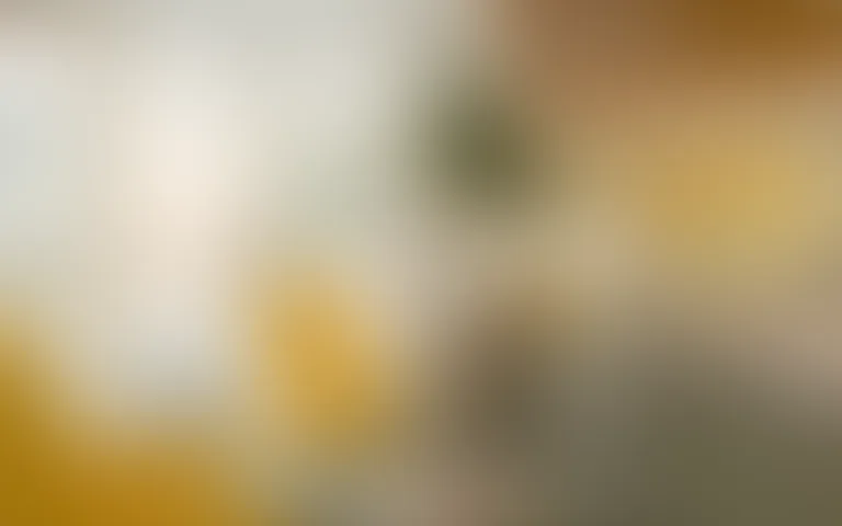 La Maison Madeleine - photo 3