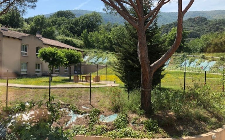 La Maison Bleue - photo 12