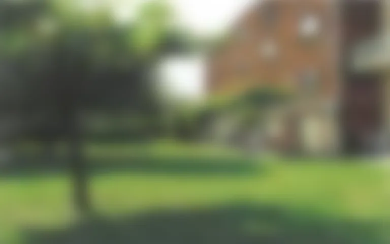 EHPAD les Mélèzes