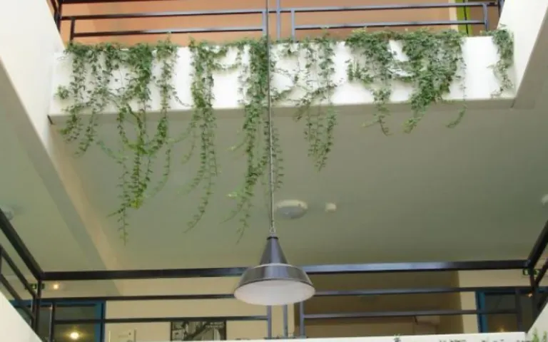 Residence Saint Genest - photo 3