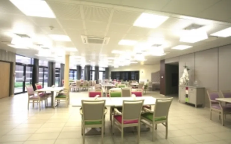 La Maison du Tulipier - photo 7