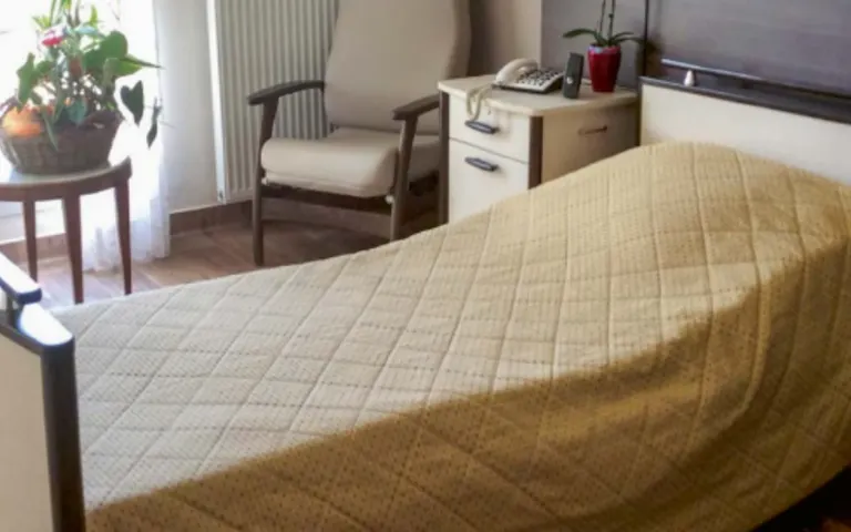 La Maison du Tulipier - photo 3