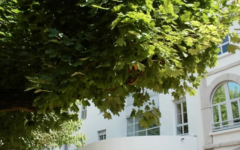 EHPAD le Manoir - photo 5