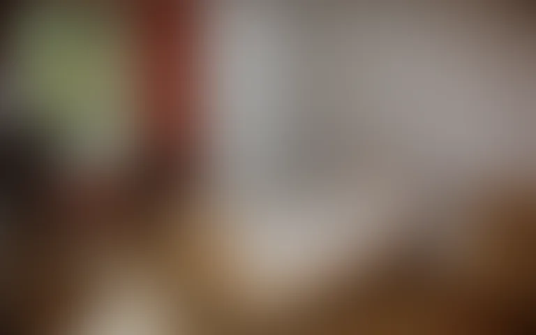 EHPAD la Rochette - photo 2
