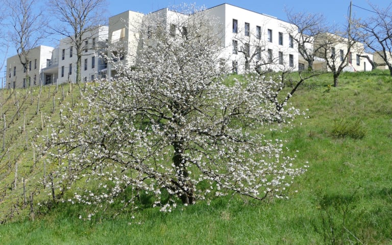 Residence Val Foron - photo 6