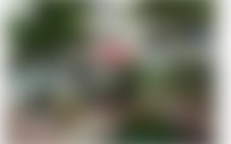 Résidence Beau Séjour - photo 4