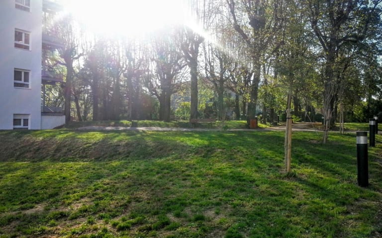 EHPAD la Roseraie - photo 3