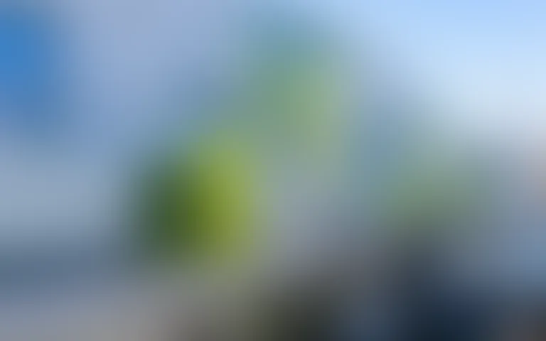 Résidence de l'Amitié - photo 2