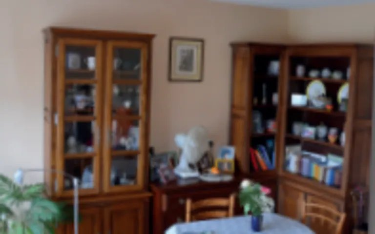 EHPAD la Vigerie - photo 2