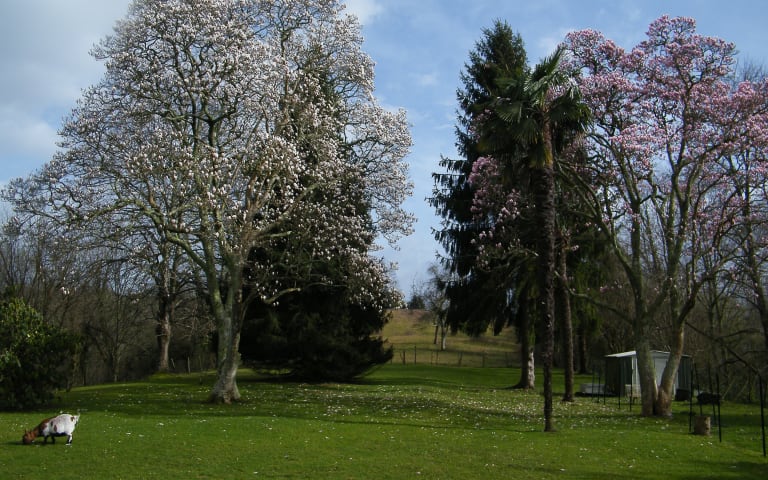 EHPAD Gaia - photo 5