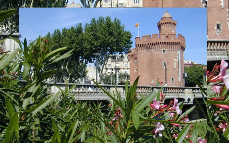 Résidence : EHPAD Villa Saint-François