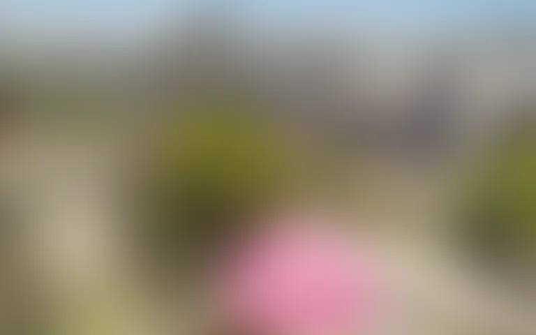 Résidence les Issambres - photo 2