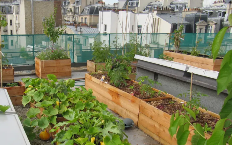 EHPAD du Centre Robert Doisneau - photo 5