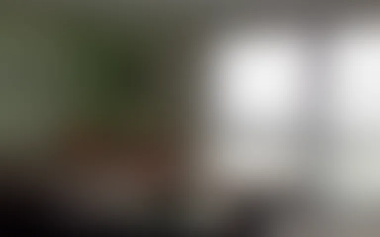 EHPAD Gilles Martin - photo 3